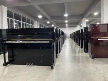 昆明二手樂(lè)器市場(chǎng)探秘 淘貨指南與零售新風(fēng)向