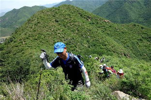 腳在路上，杖在手中 戶外登山帶一根杖，不只是更穩(wěn)而已